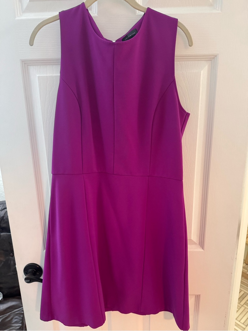 The Limited Sleeveless Fuchsia Fit-and-Flare Dress